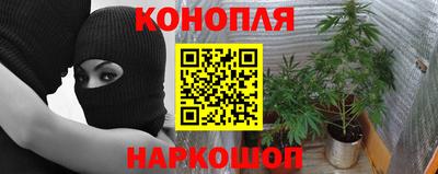 спайс Балахна