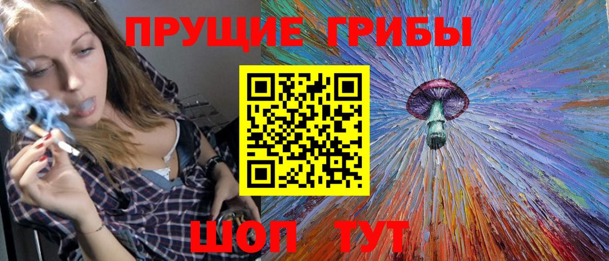 купить  цена  Псилоцибиновые грибы мицелий  Вход с VPN  Вольск 